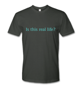 Is This Real Life? - Unisex Next Level T-Shirt - Heavy Metal Grey